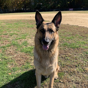 Meet your Posher, Shaun
